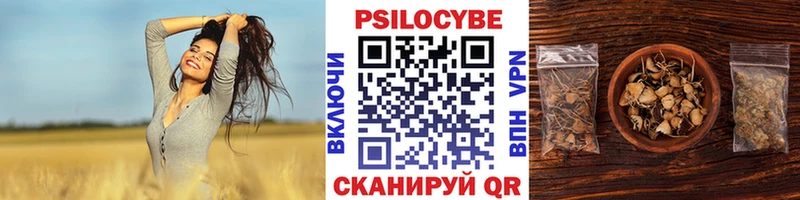 Галлюциногенные грибы мицелий  Иннополис 